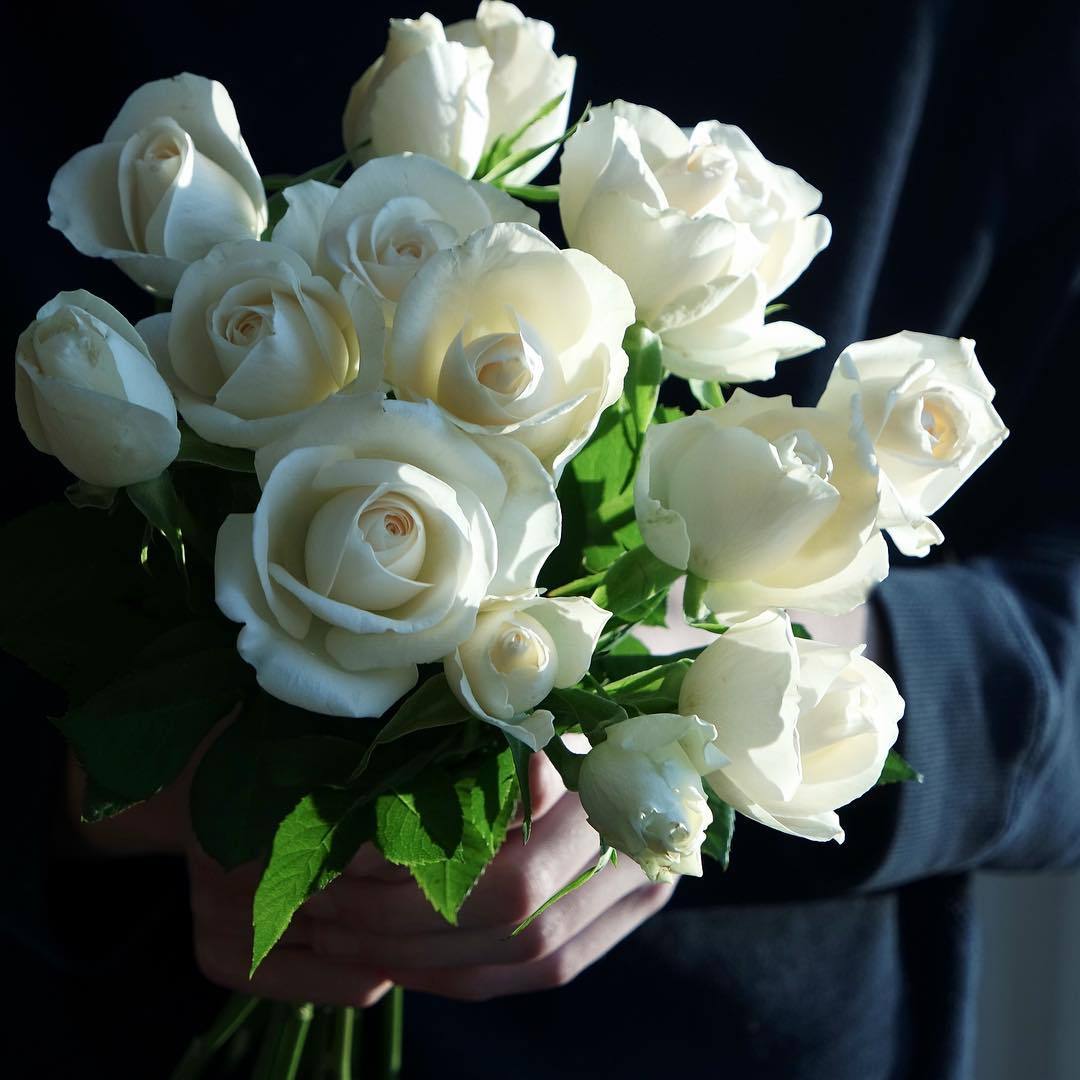 Белые розы в руках. Букет белых роз букет. Шикарный букет белых роз. Красивый букет белых цветов. Красивые белые розы.