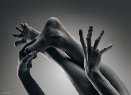 Фото Ножки и руки девушки, фотограф Vadim Stein