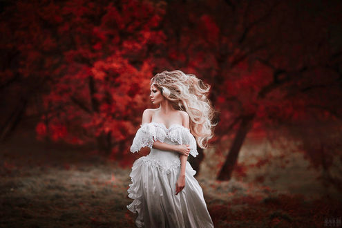 Фото Девушка с длинными волосами, в белом платье стоит на фоне деревьев с красной листвой, фотограф Светлана Беляева (© zmeiy), добавлено: 13.01.2018 13:54