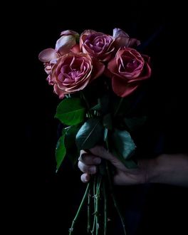 Фото Букет роз в руке девушки (© zmeiy), добавлено: 14.01.2018 11:08