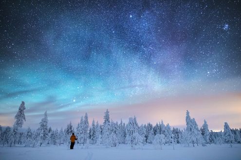 Фото Парень на лыжах стоит перед зимним лесом и наблюдает за северным сиянием (© JeremeVoods), добавлено: 16.01.2018 00:30
