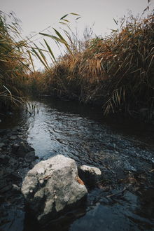 Фото Быстрая и узкая река протекает сквозь заросли, фотограф Nikola Pov (© StepUp), добавлено: 23.01.2018 11:48