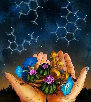 Фото На руках девушка цветы вьюна, грибы и цветущие кактусы (© zmeiy), добавлено: 23.01.2018 20:16