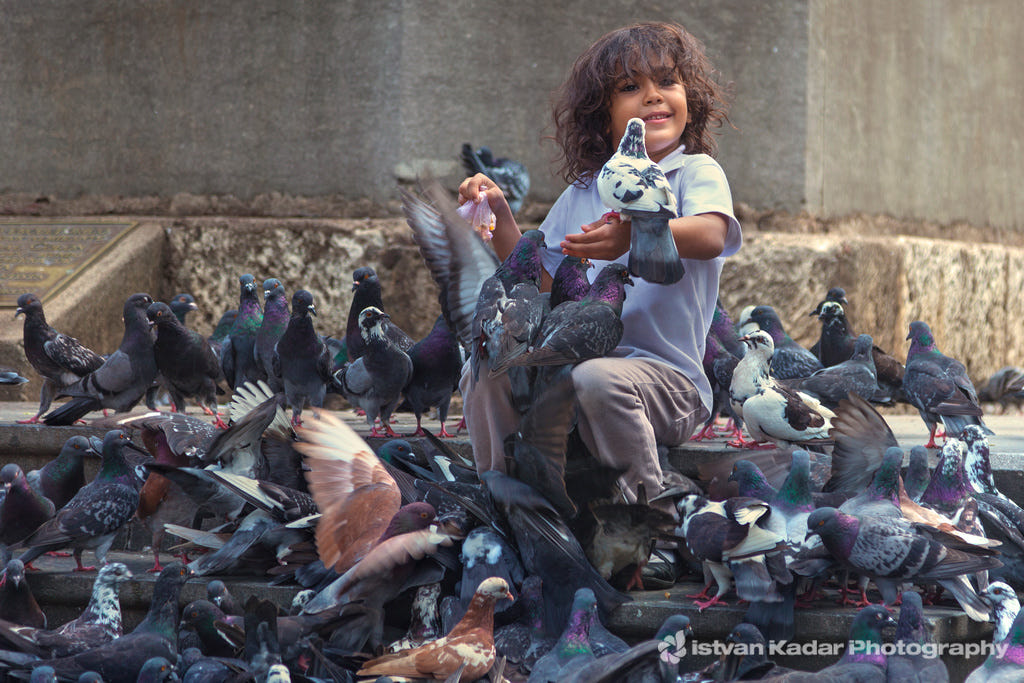 Фото Ребенок сидит среди голубей, фотограф Istvan Kadar