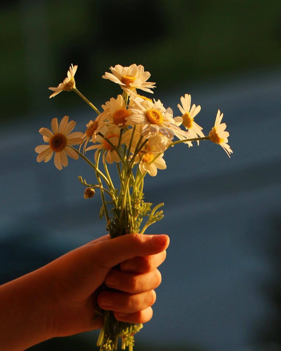 Один цветок в руке