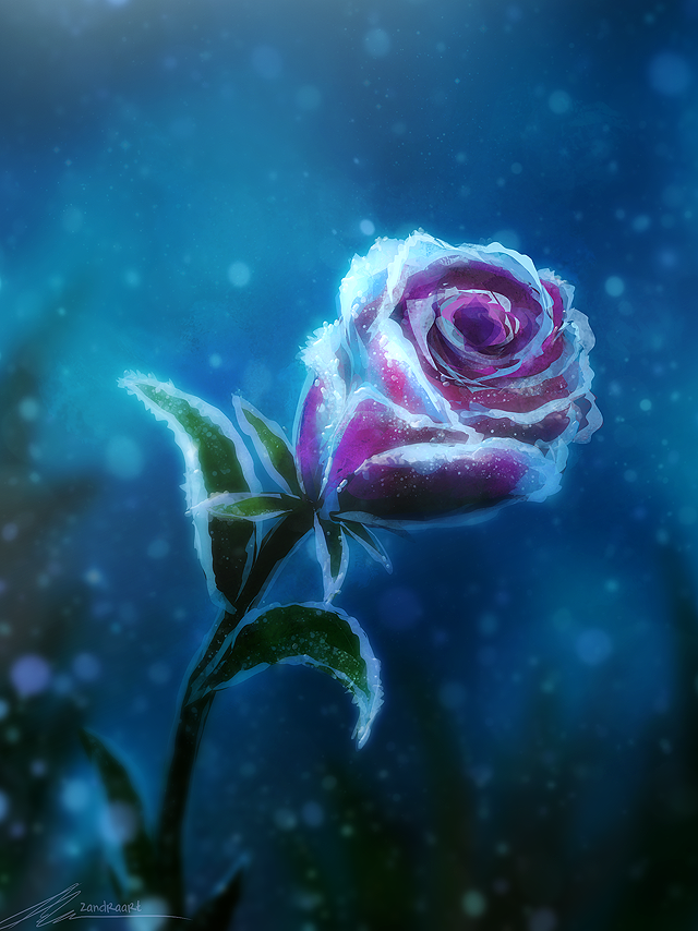 Фото Сиреневая роза в снегу, by ZandraArt
