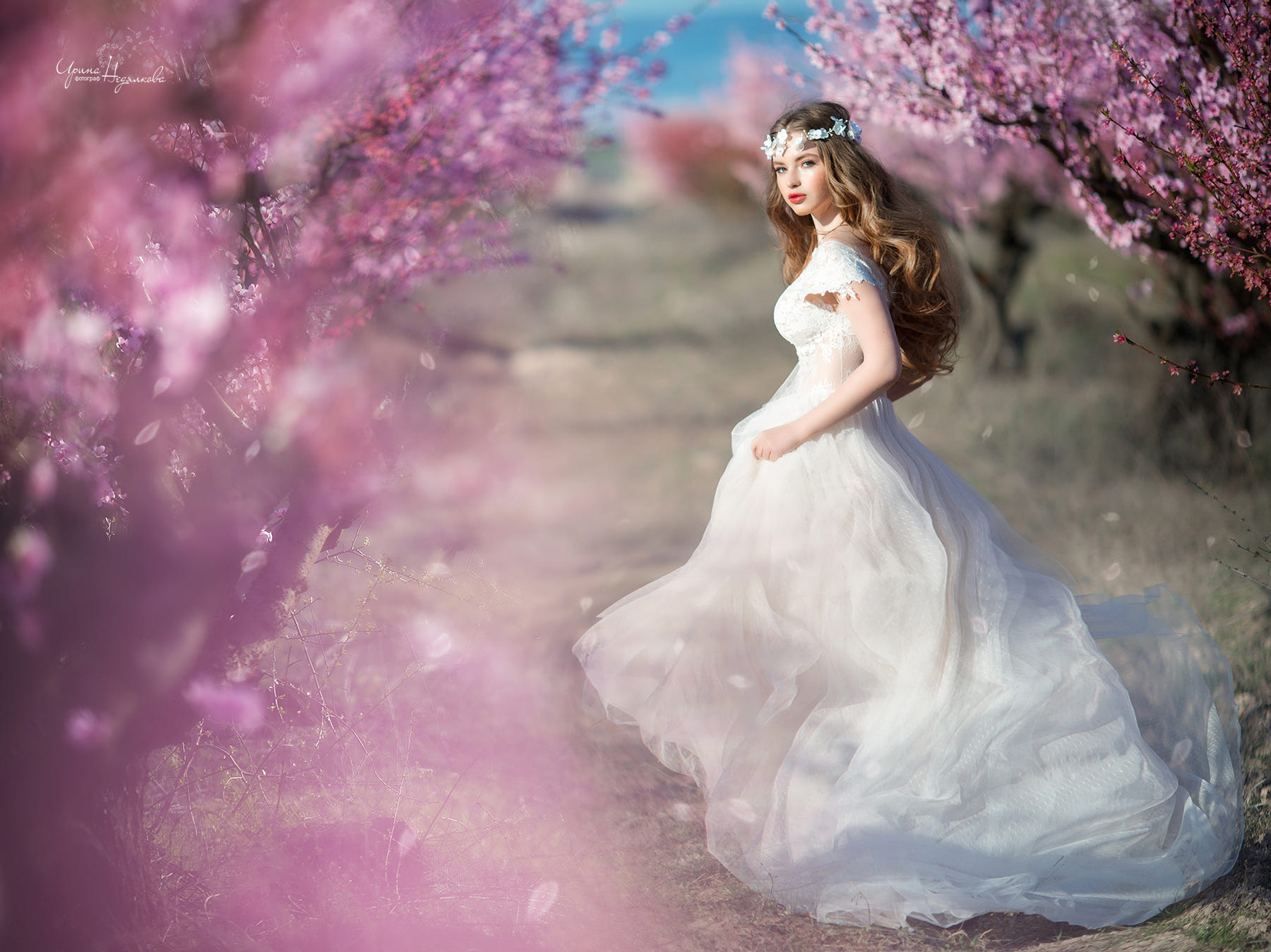 Фото Девушка-невеста стоит посреди весенних деревьев, фотограф Irina Nedyalkova
