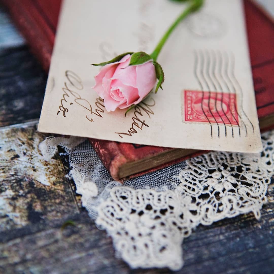Фото Розовая роза лежит на конверте