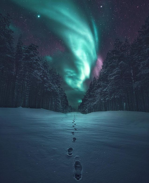 Фото Следы на снегу в лесу, Norway / Норвегия, фотограф Juuso Hаmаlаinen