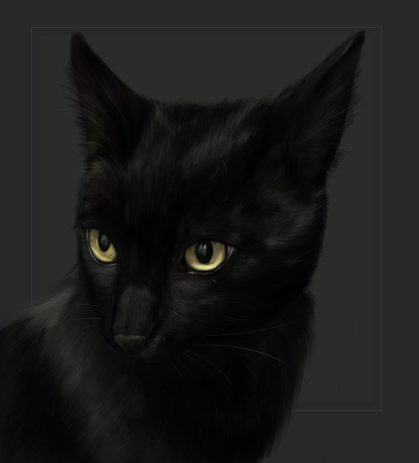 Фото Желтоглазый черный кот, by SiiroiToriorika