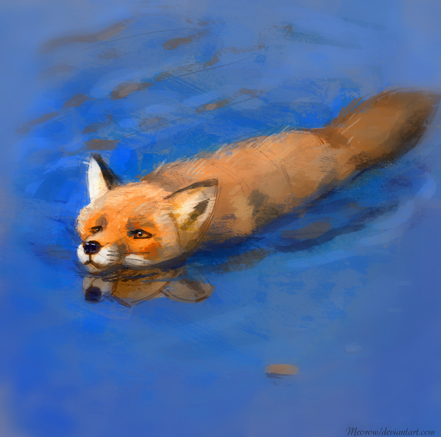 картинки рыбы лисы