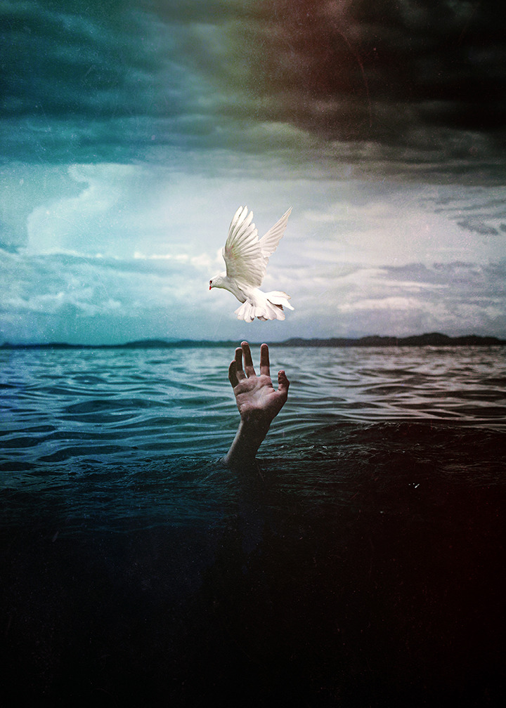 Фото Рука утопающего тянется к белому голубю