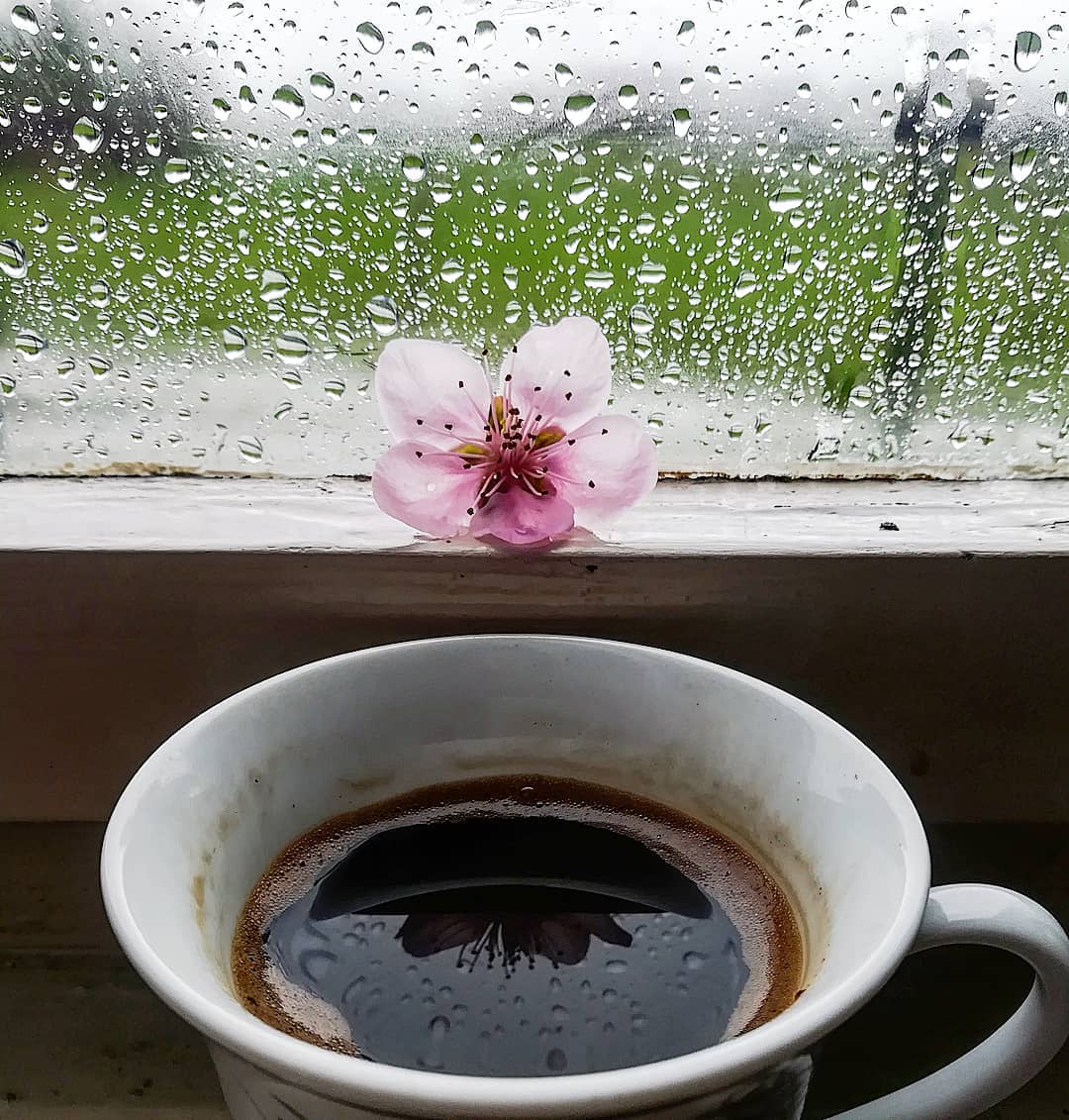 Осень, дождь и чашка кофе