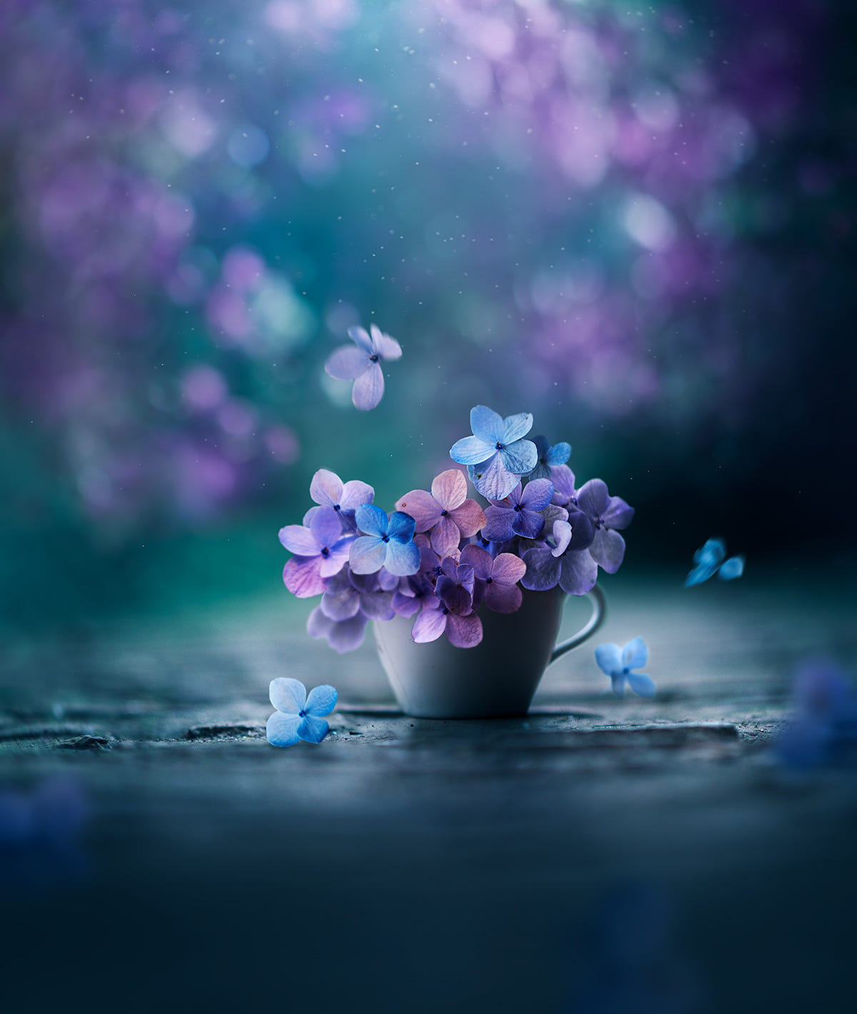 Фото Чашка с цветами гортензии, фотограф Ashraful Arefin