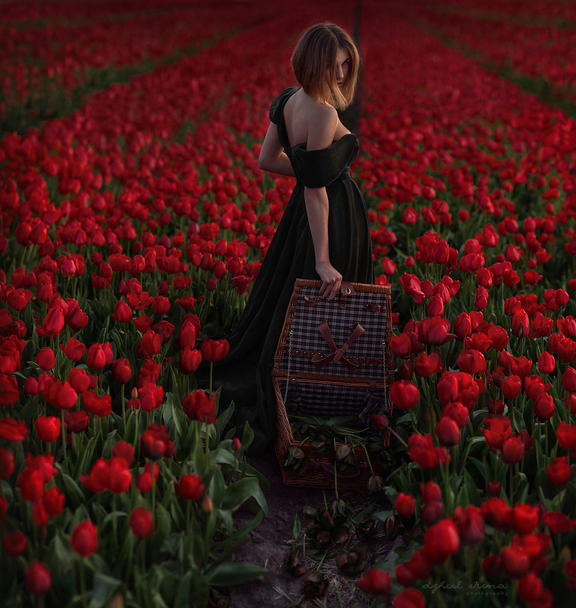 Фото Девушка в черном платье стоит на поле красных тюльпанов, фотограф Irina Dzhul