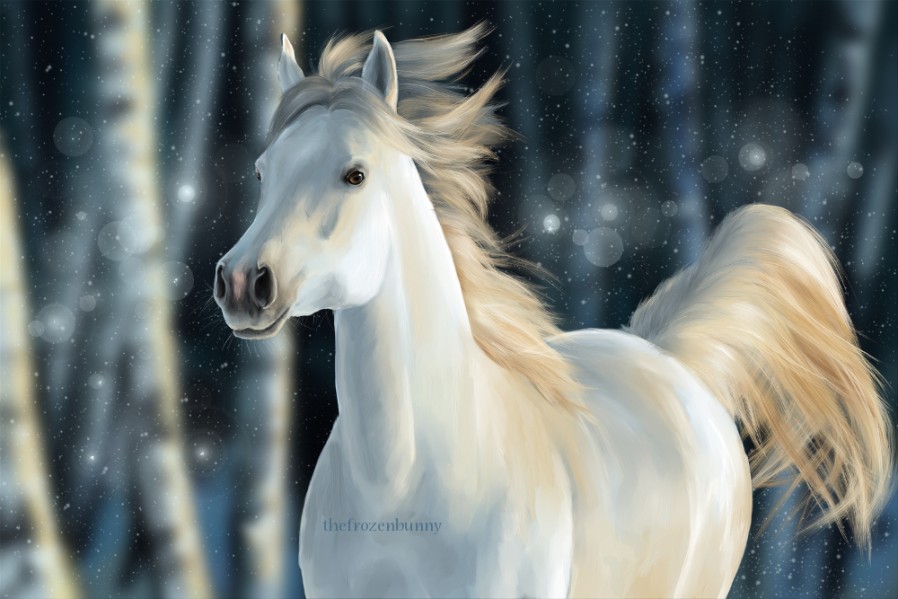 Лошади Зимой Красивые Фото