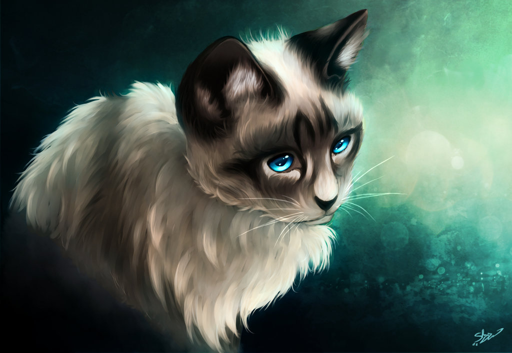 Фото Черно-серый кот с голубыми глазами, by xX-Lone-Wolf-Xx