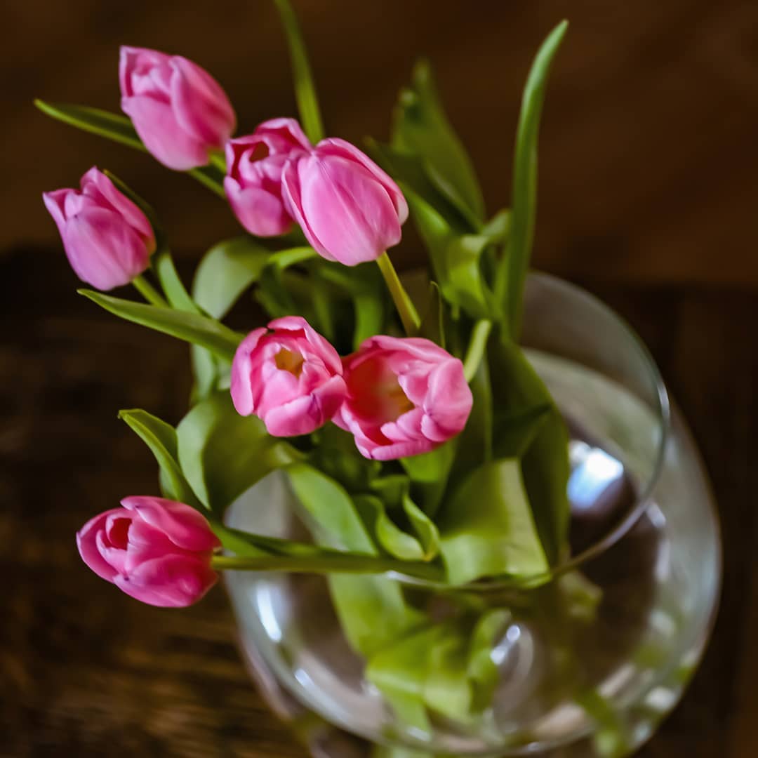 Фото Розовые тюльпаны в вазе, by hey_e_l_e_n