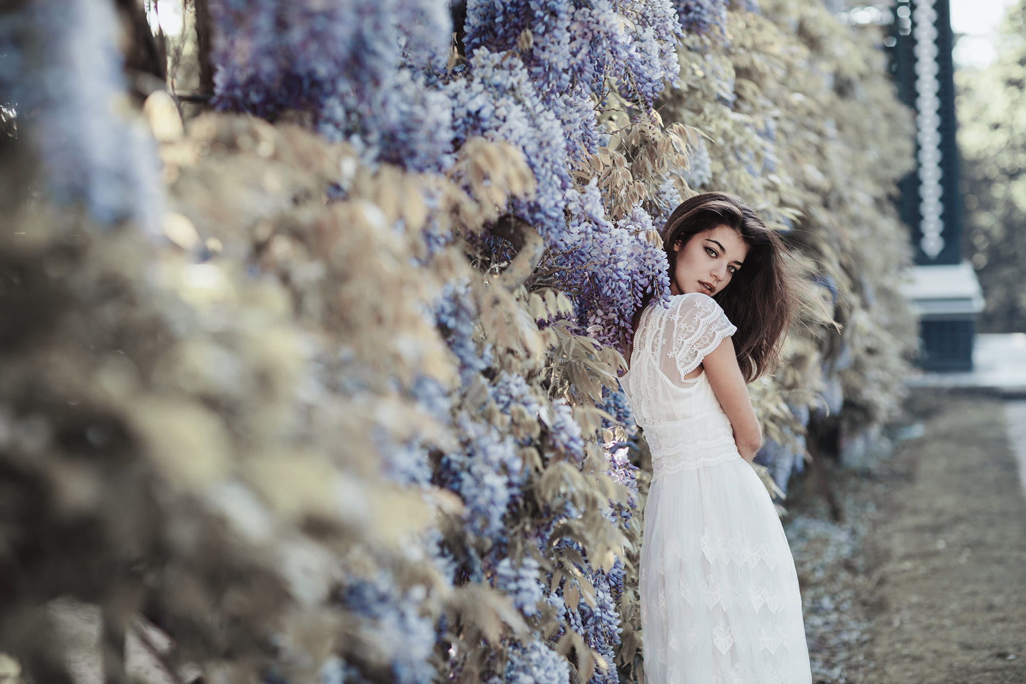 Фото Девушка стоит у цветущей глицинии, фотограф Jovana Rikalo