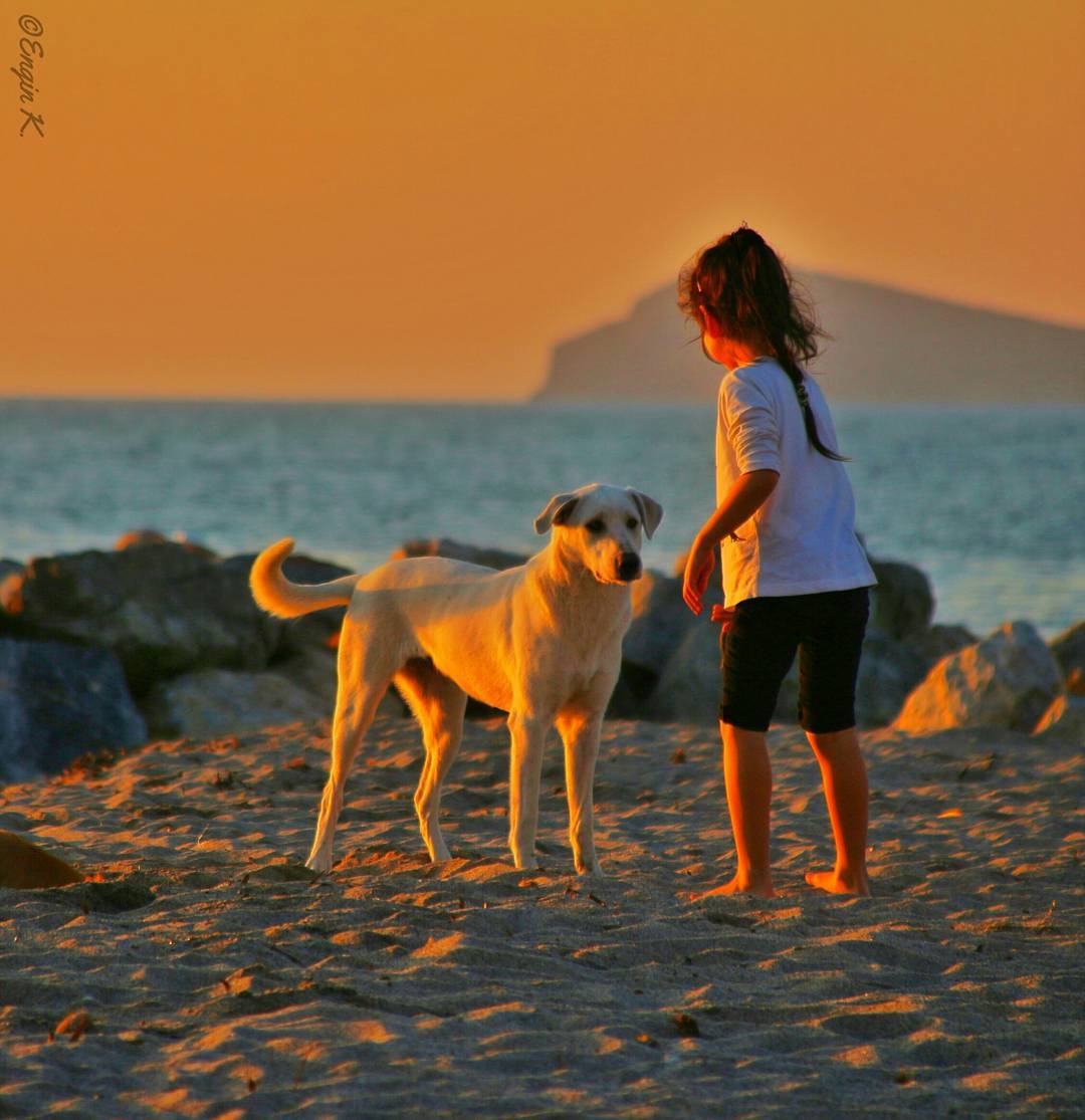 Фото Девочка с собакой на песке, by Engin KOСAK