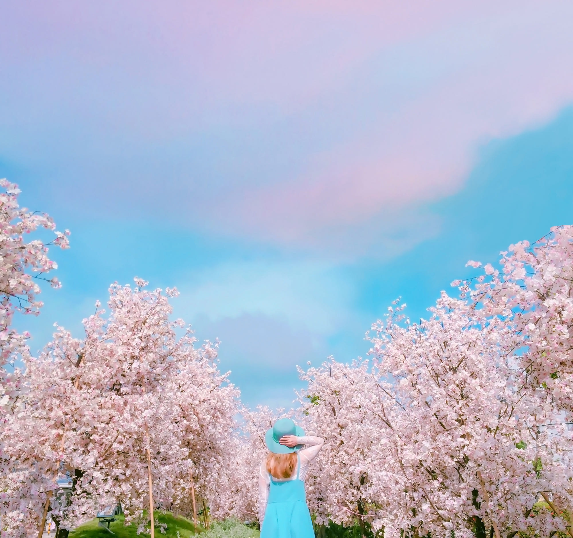 Фото Девушка в шляпке стоит на фоне цветущей сакуры и облачного голубого неба, by Rаi