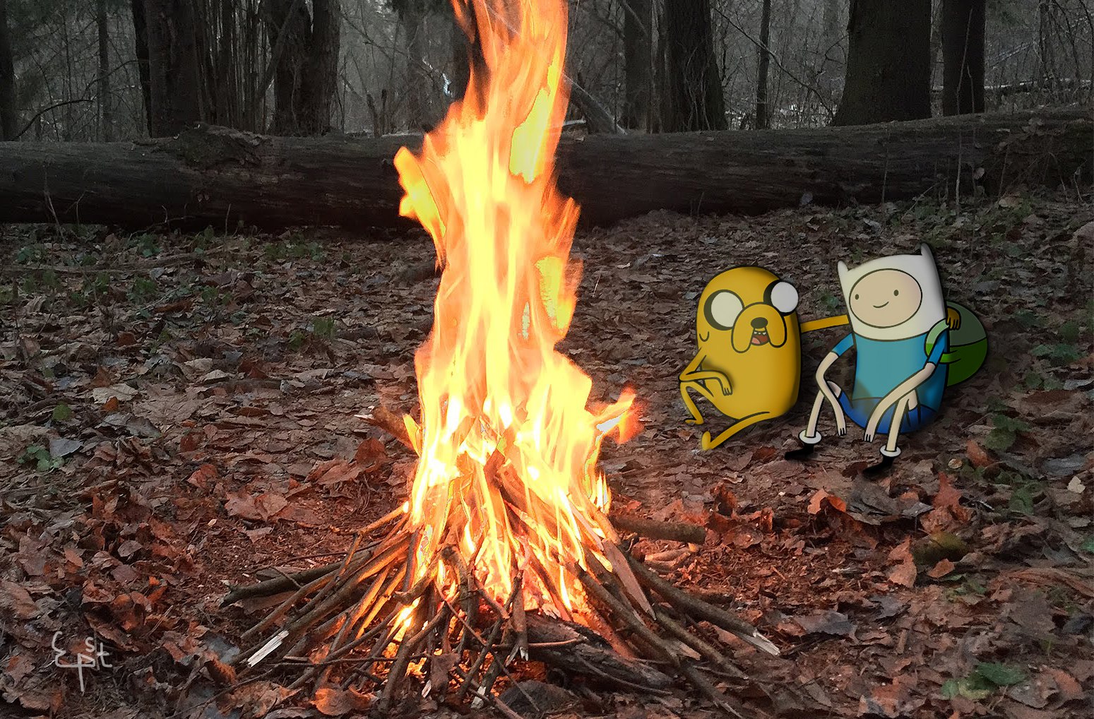 Фото Джейк пес / Jake the Dog и Финн / Finn из мультсериала Время Приключений / Adventure Time греются у костра, сидя на земле, усыпанной осенними листьями
