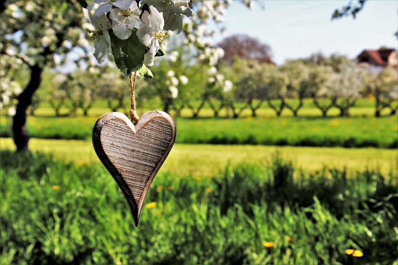 Фото Кулон в виде сердечка висит на веточке цветущего дерева яблони