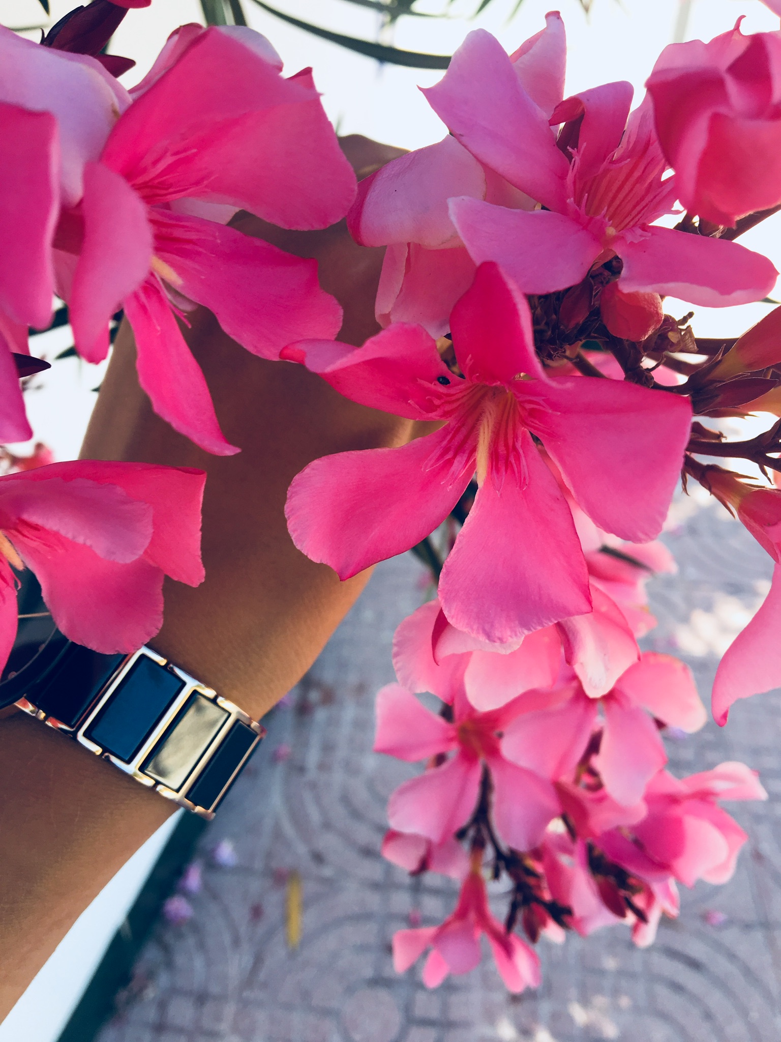 Фото Весенние цветы в руке