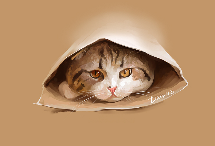 Фото Кот с янтарными глазами в пакете, by CurlyJul