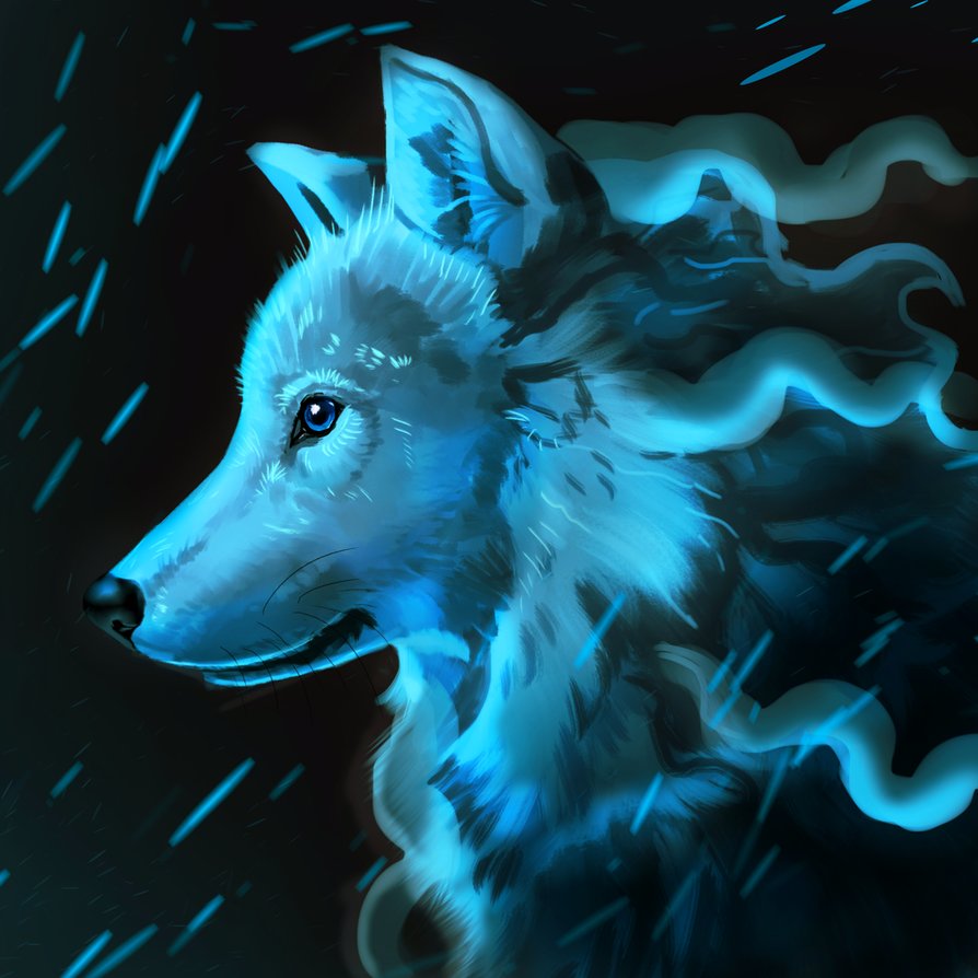 Фото Голубоглазый волк в профиль под дождем, by Noctualis