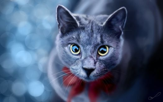 Фото Котенок с красным бантом на шее, by 1NFIN1TY