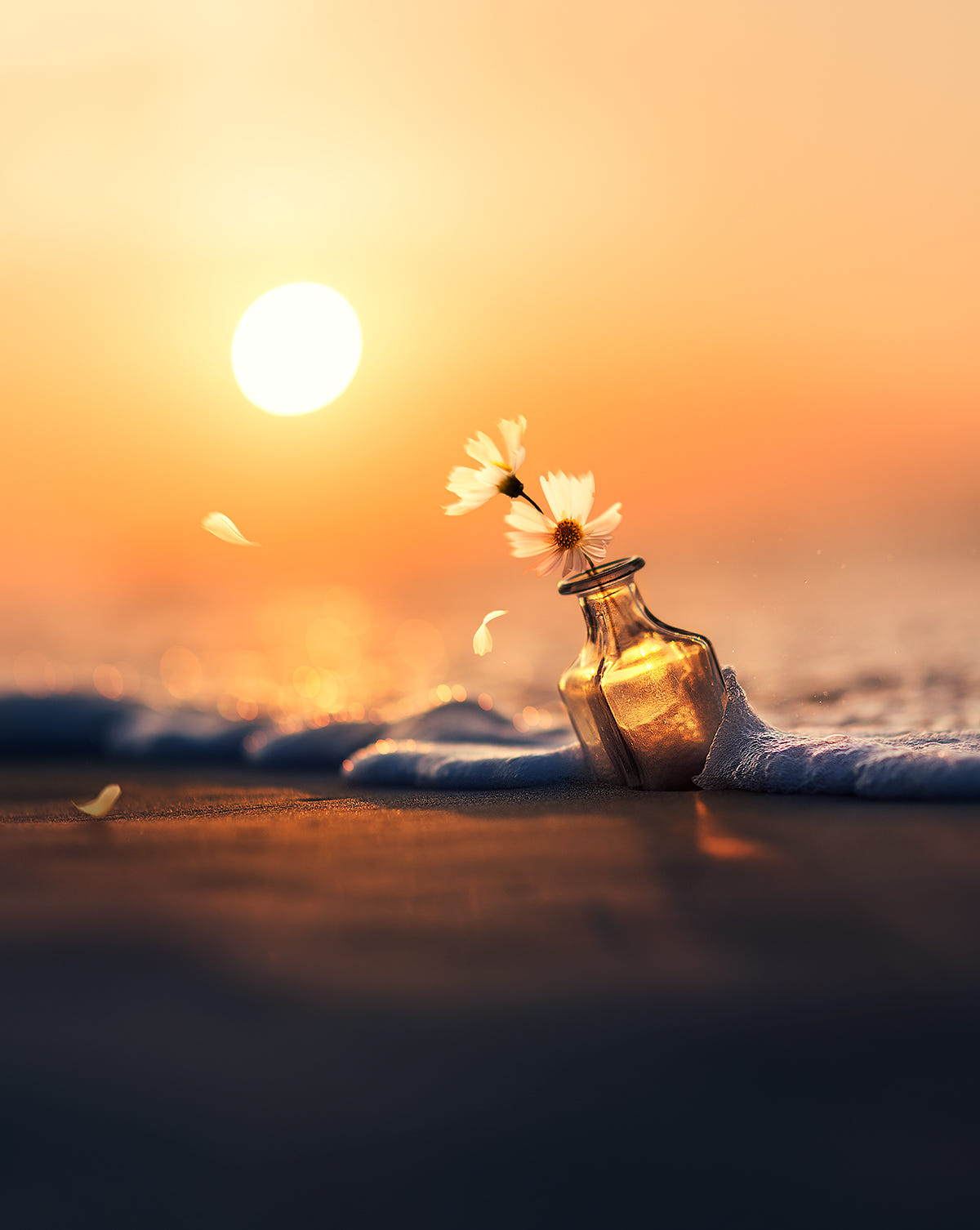 Фото Ромашки в пузырьке в пенистой морской воде, by Ashraful Arefin