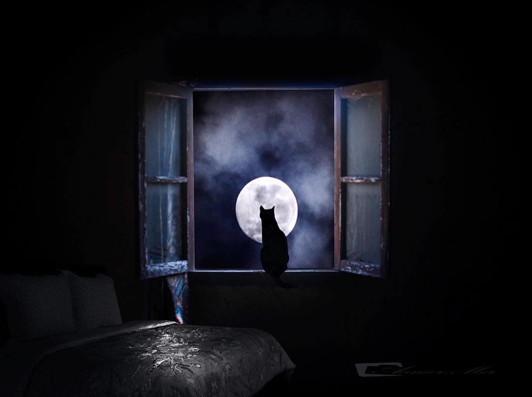 Фото Кошка сидит на окне на фоне полной луны, by ig_shotz_magic