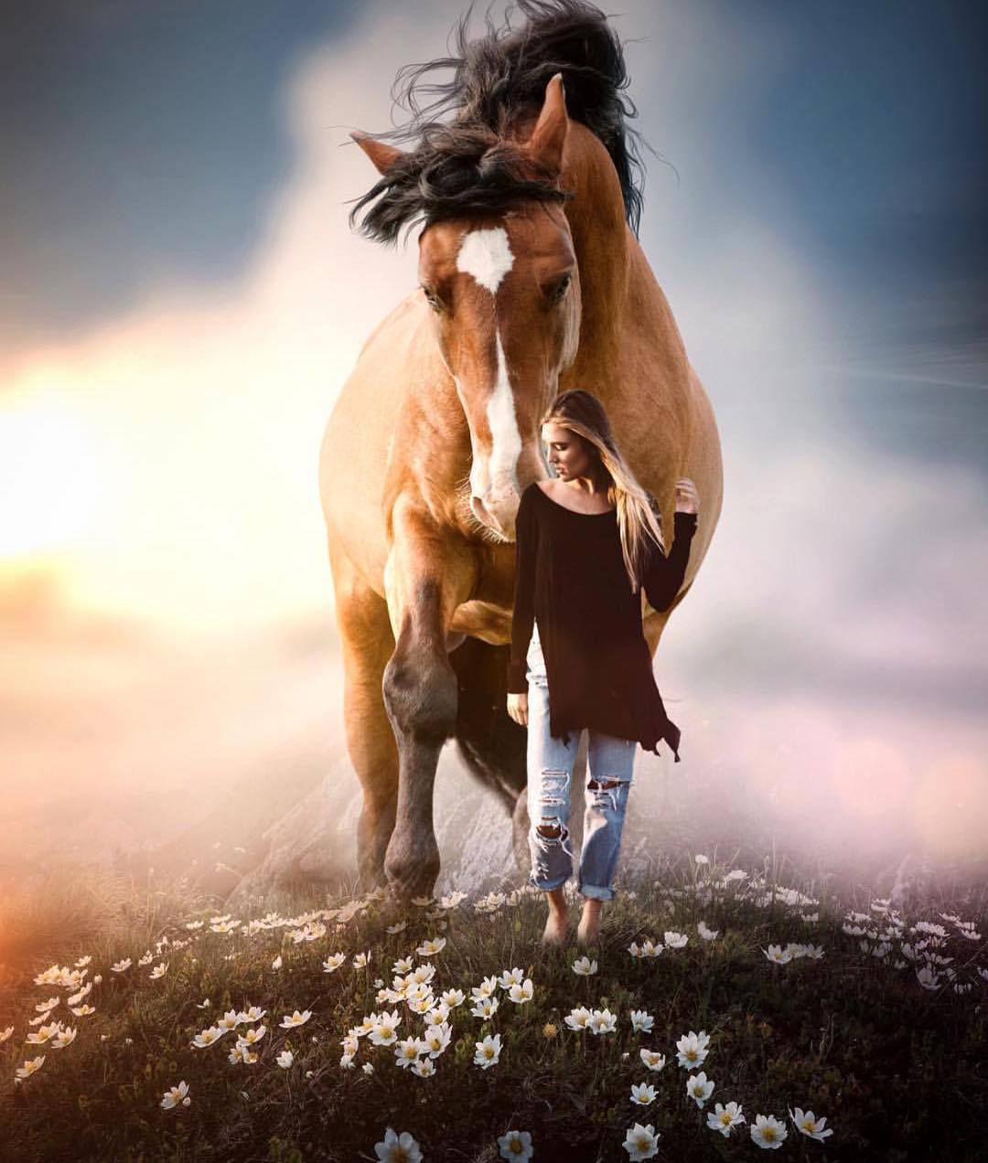 Фото Девушка с лошадью на цветочном поле