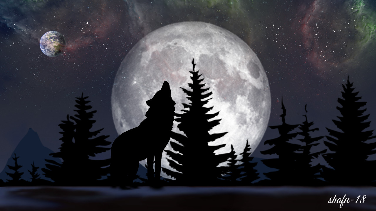 Ночь волков читать. Волк и Луна. Волк ночь Луна. Волк на фоне Луны. Волк воет на луну.