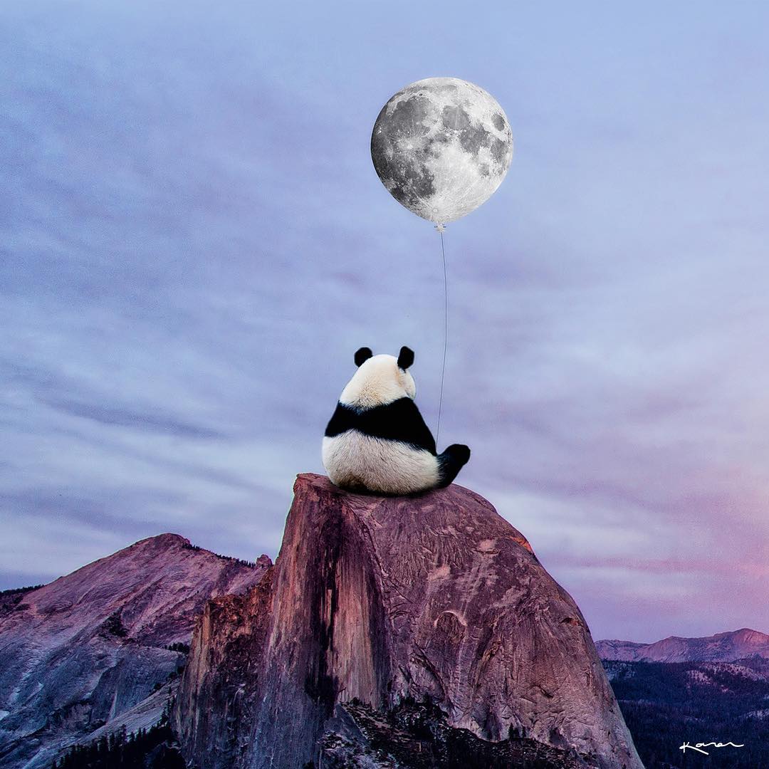 Фото Панда сидит на вершине горы и держит в лапах шарик, by karencantuq