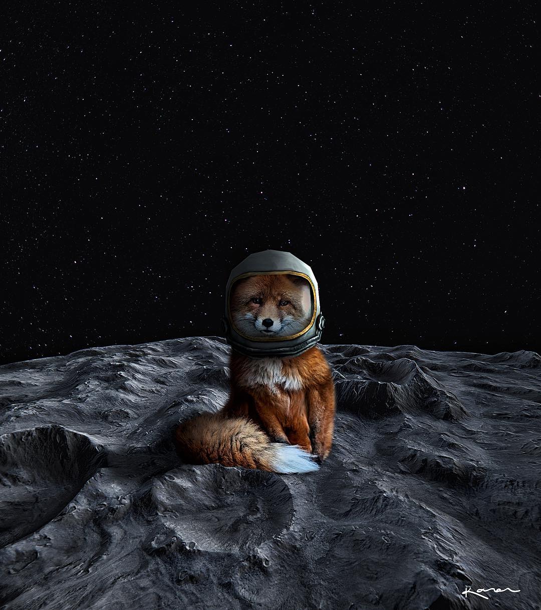 Фото Лиса в скафандре сидит на Луне, by karencantuq