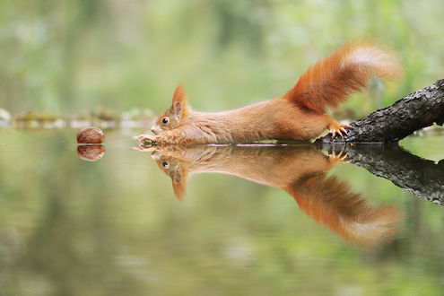 Жетілген әйелдердің веб-камера порносын қараңыз