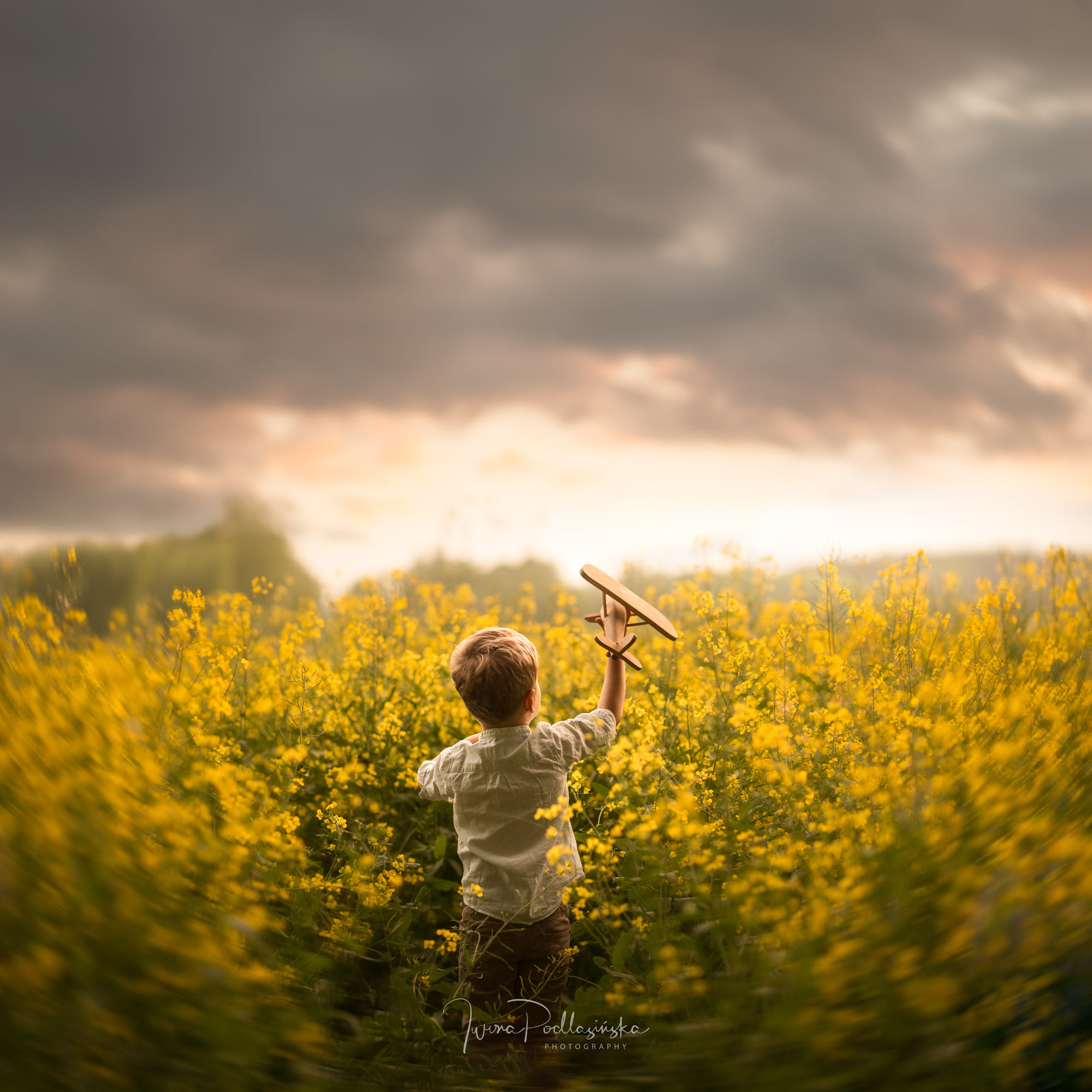 Фото Мальчик с игрушечным самолетиком стоит на цветочном поле, фотограф Iwona Podlasinska