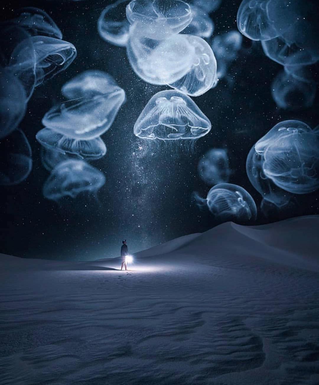 Фото Девушка с фонарем смотрит на медузы в небе