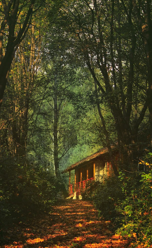 Фото Дорожка к домику в лесу, by Sylar113
