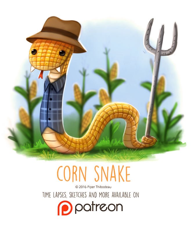 Фото Кукурузная змея фермер, by Cryptid-Creations