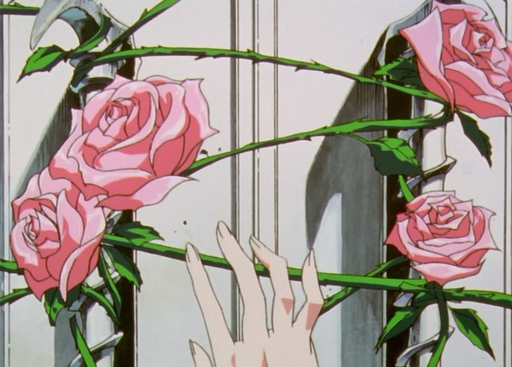 Фото К колючим стеблям роз прикасается красивая женская рука