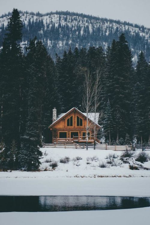 Фото Деревянный домик на краю заснеженного леса