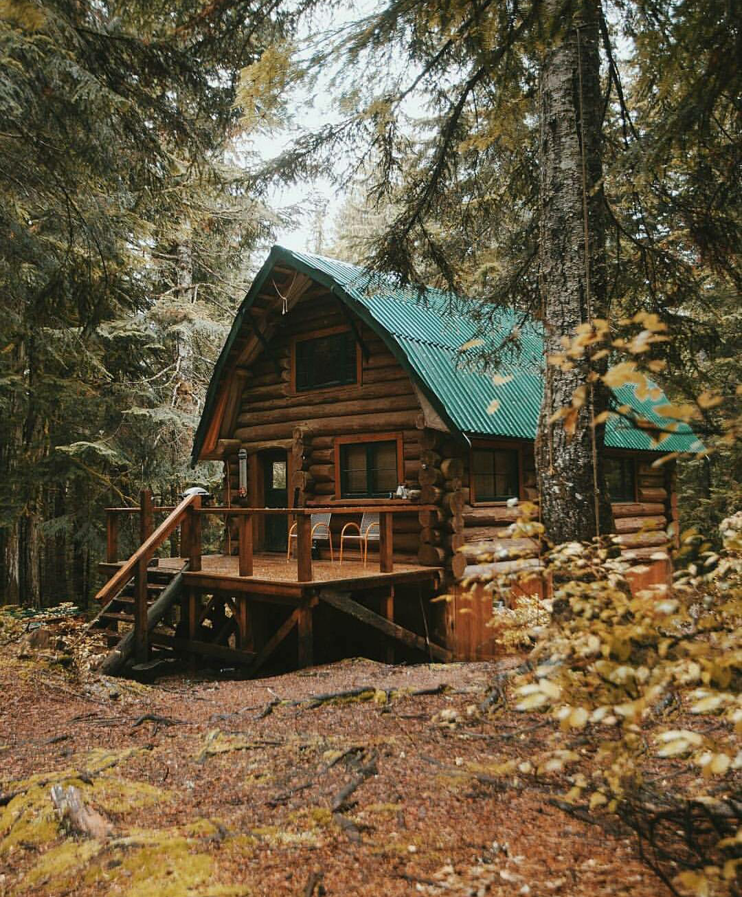 Диван домик в лесу