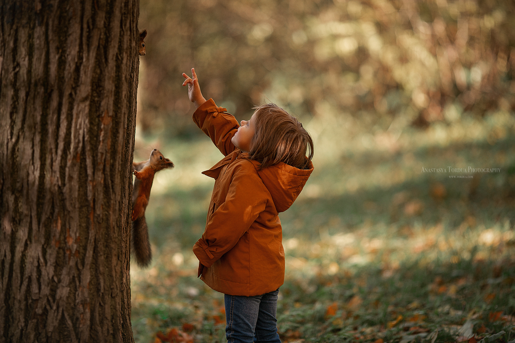 Фото Девочка стоит у дерева и смотрит на белок. Фотограф Анастасия Тордуа