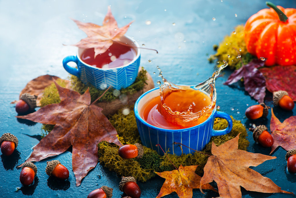 Фото Осенний натюрморт с чашками чая, осенними листьями, желудями и тыквой на столе, by dinabelenko