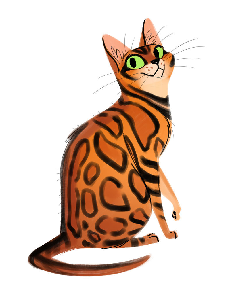 Кот тигровой окраски