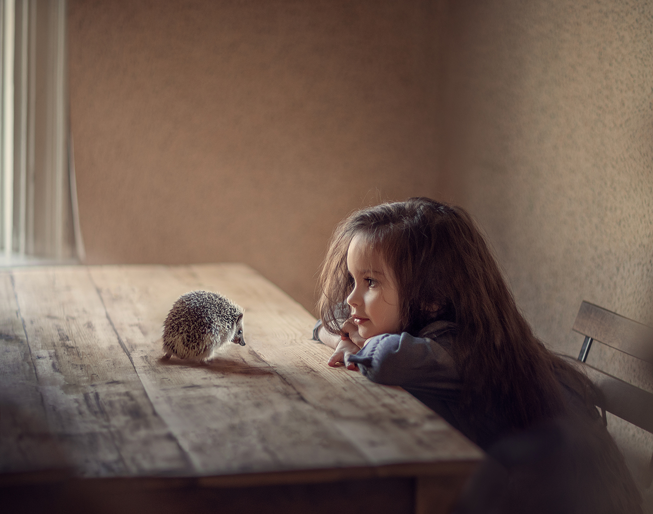 Фото Девочка сидит за столом и смотрит на ежика, фотограф Степанова Дарья