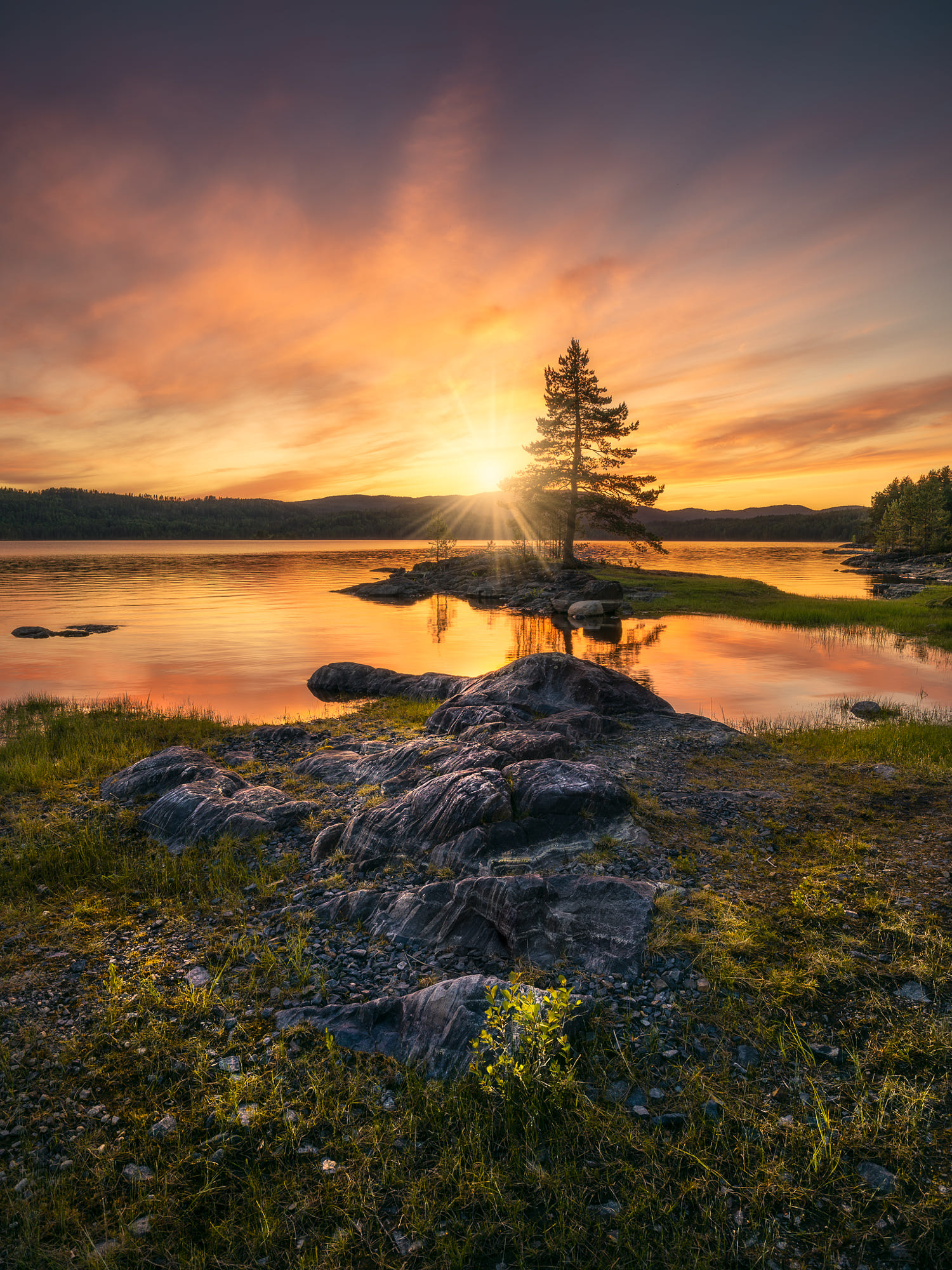 Фото Яркое солнце освещает природу, Ringerike, Norway / Ringerike, Норвегия, фотограф Ole Henrik Skjelstad